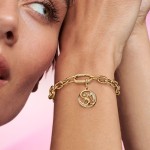 Pandora ME Conta Pendente The Elements Medallion 762318C01