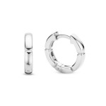 Brincos TI SENTO 7889SI