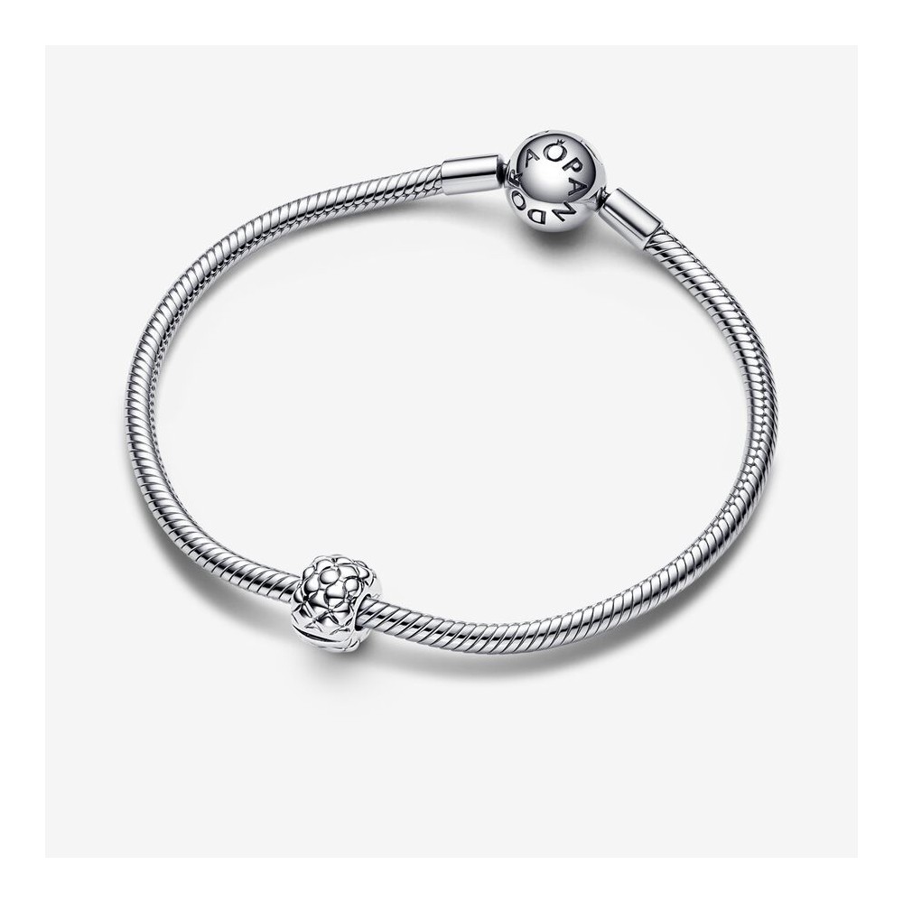 Pandora Clip Studded Bold 792746C00