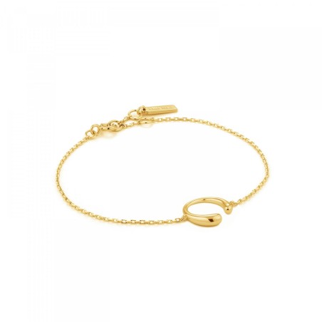 Pulseira Ania Luxe B024-01G