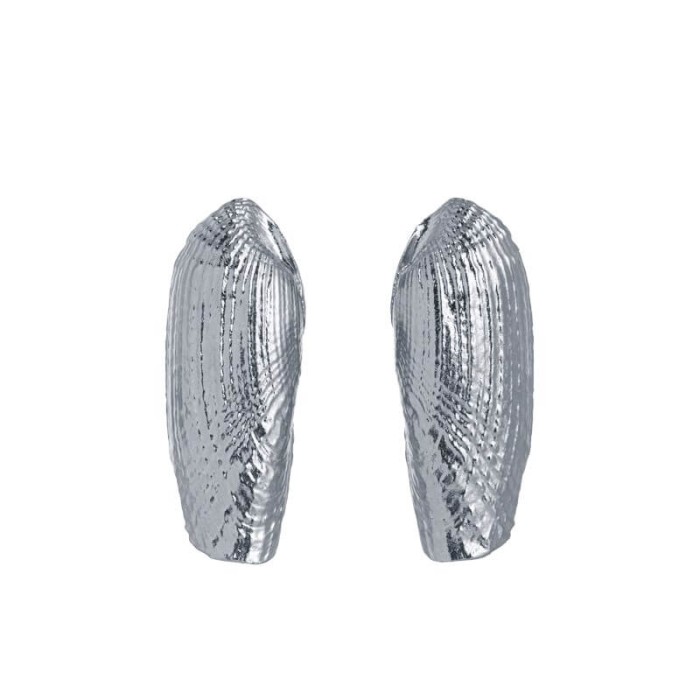 Brincos Omnia Concha