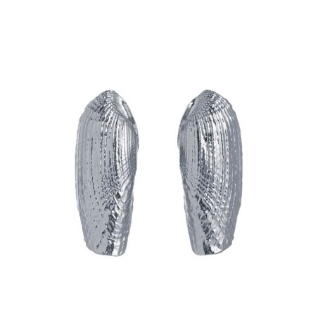 Brincos Omnia Concha