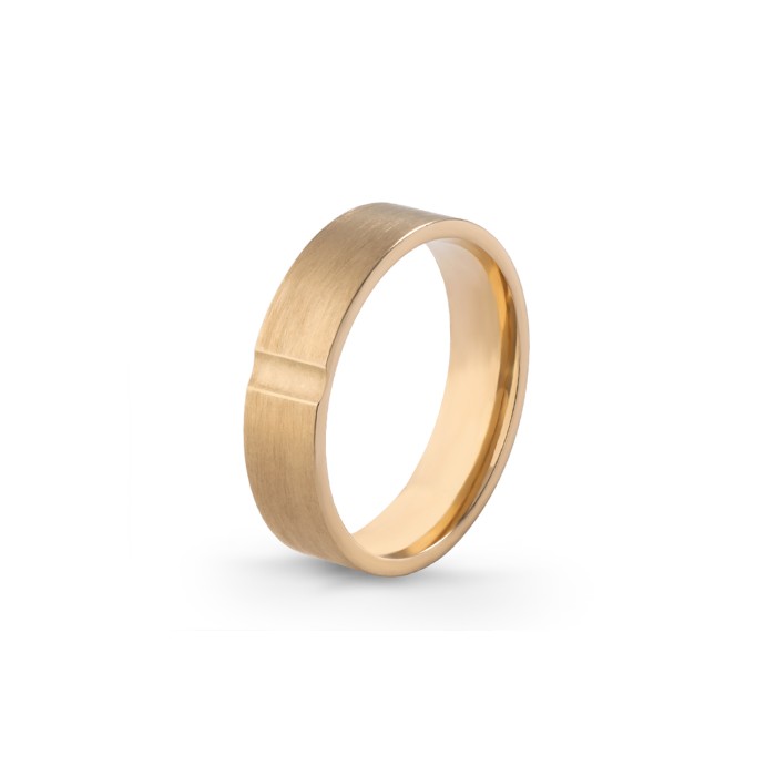 Aliança Eternis 5 MM