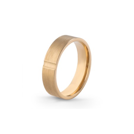 Aliança Eternis 5 MM