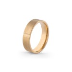Aliança Eternis 5 MM