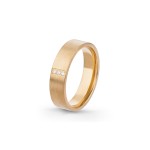 Aliança Eternis 5 MM