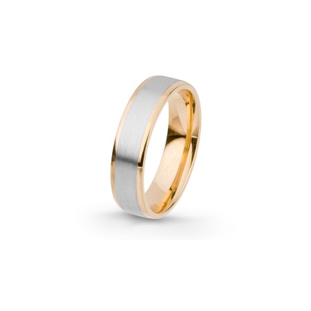 Aliança Eternis 5 MM
