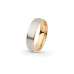 Aliança Eternis 5 MM