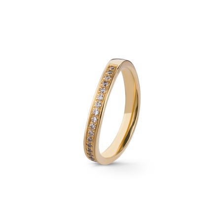 Aliança Eternis 3 MM