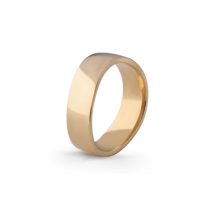 Aliança Eternis 6 MM