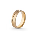 Aliança Eternis 5 MM