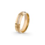 Aliança Eternis 5 MM