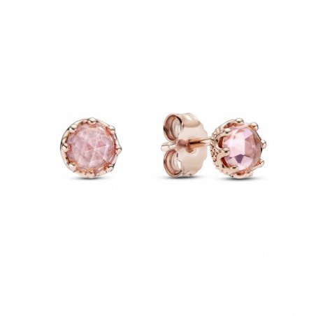 Brincos Rose Sparkling Crown Pink