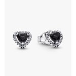 Brincos Espigão Coração Elevado 2968427C03