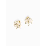 Brincos Glamour pequenos 114.C060.D.1.00