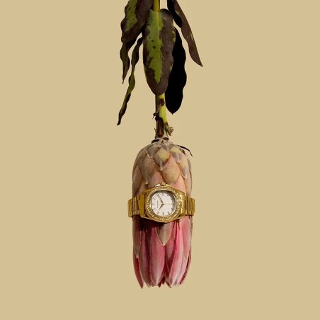 Radiant Scape Relógio de Mulher Gold RA637204