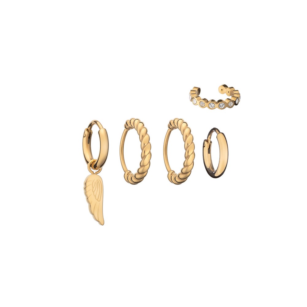 Brincos Anjewels Beautiful Asa AB.EP050