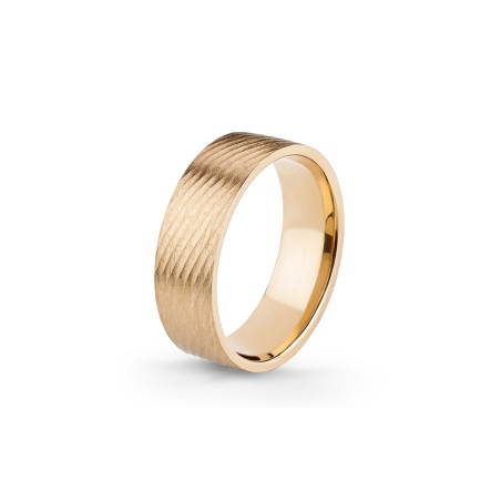 Aliança Eternis 6 MM