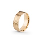 Aliança Eternis 6 MM