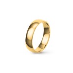 Aliança Etermis 5MM esa5y