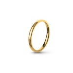 Aliança Eternis 2mm Esd2y