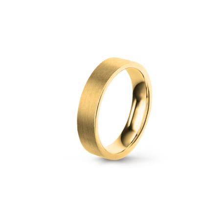 Aliança Eternis 5MM ese5y