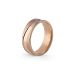 Aliança Eternis 6 MM