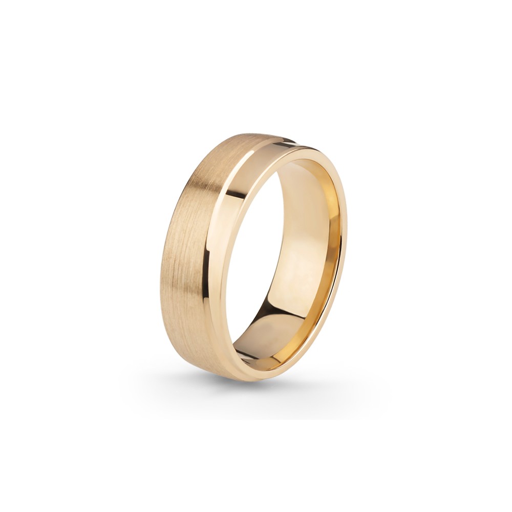 Aliança Eternis 6 MM