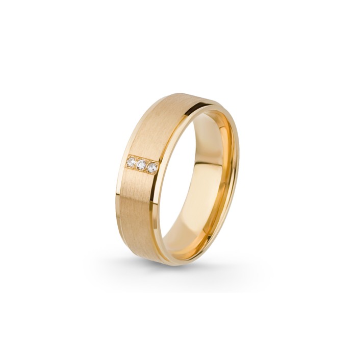 Aliança Eternis 6 MM