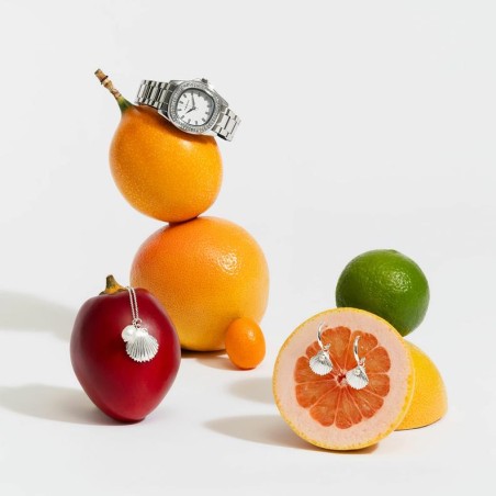 Relógio Radiant Scape Mulher Silver RA637201