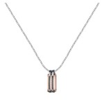 PENDENTE,SECTOR,BASIC,PRATE.C/PLACA ROSE GOLD,60CM