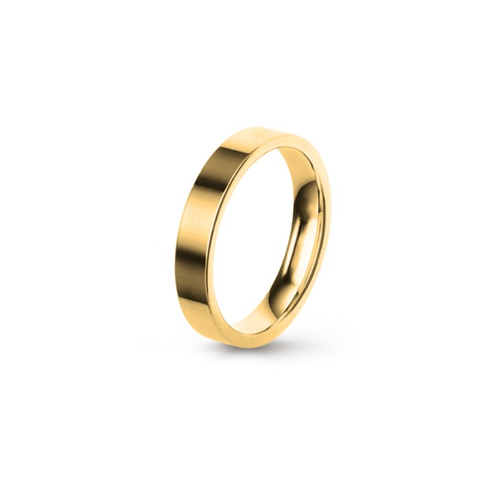 Aliança Eternis 4MM ese4y