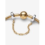 Corrente de Segurança Alongada