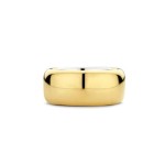 Anel TI SENTO 12234SY