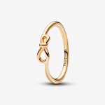 Anel Pandora  Infinity Knot 168898C00-58