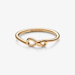 Anel Pandora  Infinity Knot 168898C00-58