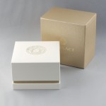 Relogio Versace Lady Bicolor VE8I00624