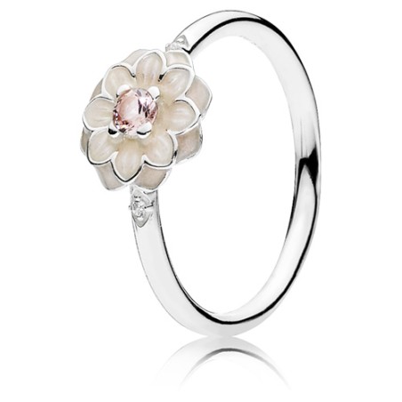 Pandora Anel Blooming Dahlia 190985NBP